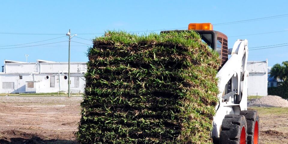 skid steer loader carrying layers of sod grass