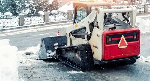 bobcat in snow